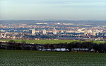 Babisnauer Pappel Blick auf Dresden